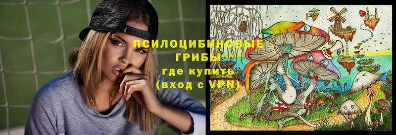 Псилоцибиновые грибы Psilocybe  Вуктыл 